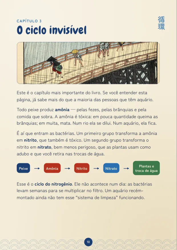 Página do e-book: O ciclo invisível